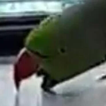 Pellets