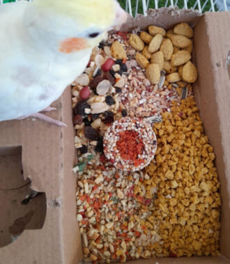 Pellets