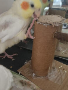 Pellets
