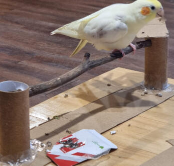 Pellets