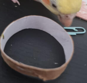 Pellets